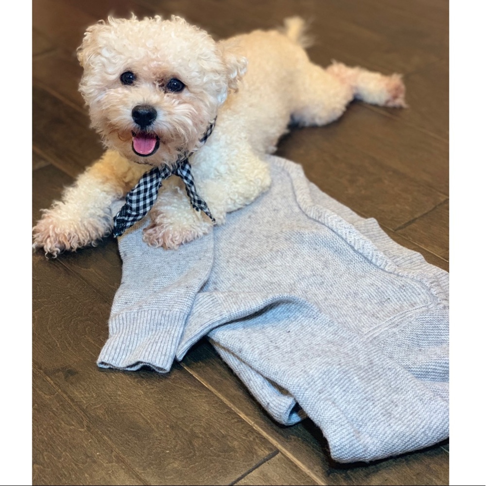 Banana Republic wool sweater